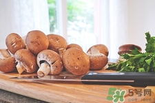 白玉菇是什么?白玉菇的功效與作用有哪些 白玉菇是什么?白玉菇的功效與作用有哪些