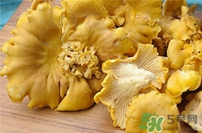 雞油菌的營養(yǎng)價(jià)值 雞油菌的功效與作用