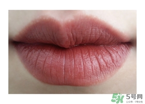 楓葉紅什么牌子好？楓葉紅口紅推薦