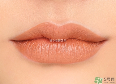 土橘色是什么顏色？土橘色口紅試色