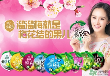 溜溜梅是梅花結(jié)的果嗎？溜溜梅的功效作用