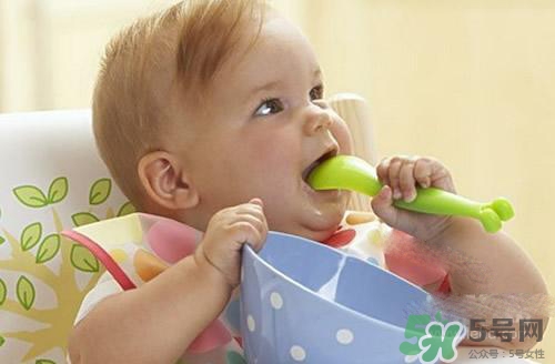 6個(gè)月的寶寶可以吃肉泥嗎？寶寶幾個(gè)月可以吃肉泥？