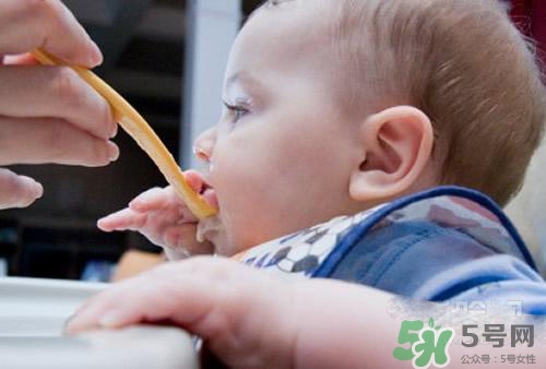 6個(gè)月的寶寶可以吃肉泥嗎？寶寶幾個(gè)月可以吃肉泥？