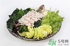 苦菊的營養(yǎng)價(jià)值 苦菊的功效與作用 苦菊的營養(yǎng)價(jià)值 苦菊的功效與作用