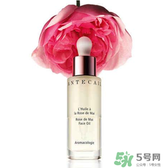 香緹卡是哪國(guó)的？香緹卡是哪里的牌子？