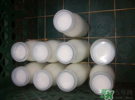 鮮羊奶可以直接喝嗎？鮮羊奶怎么喝最好？