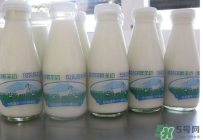 鮮羊奶可以直接喝嗎？鮮羊奶怎么喝最好？