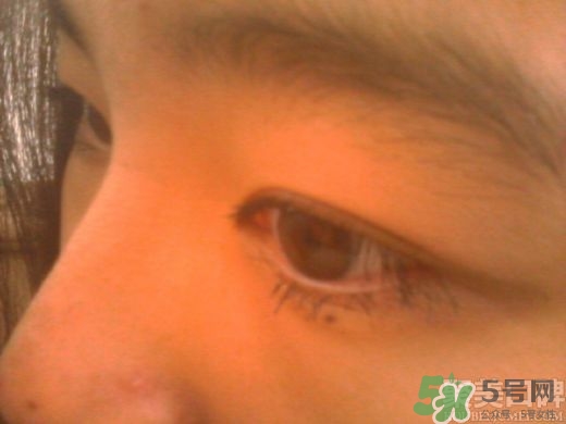 菲詩(shī)小鋪睫毛膏怎么樣？the face shop睫毛膏好用嗎？