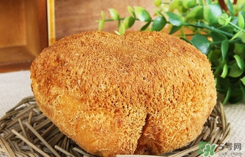 猴頭菇怎么吃？猴頭菇的功效與作用