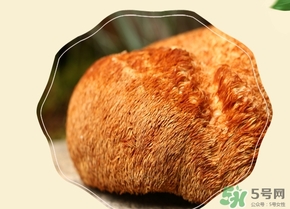 猴頭菇怎么吃？猴頭菇的功效與作用