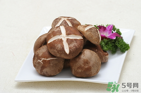 鮮香菇可以放冰箱嗎？鮮香菇可以冷凍嗎？