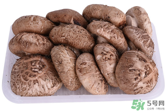 鮮香菇可以放冰箱嗎？鮮香菇可以冷凍嗎？