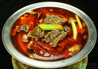 狗肉不能和什么一起吃？狗肉和什么相克？