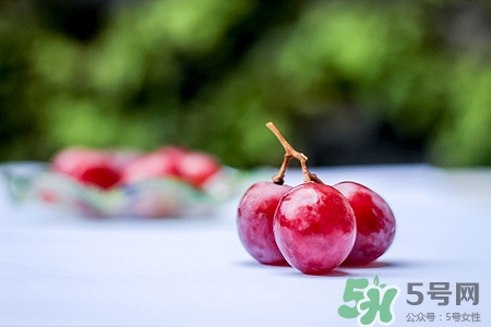 黑提和紅提哪個(gè)營養(yǎng)好?黑提和紅提的區(qū)別