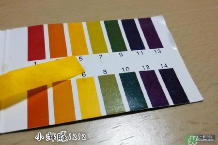 賽貝格哪里買？賽貝格哪里有專柜？