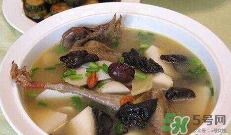 一歲能吃鴿子肉嗎?寶寶吃鴿子肉好嗎 一歲能吃鴿子肉嗎?寶寶吃鴿子肉好嗎