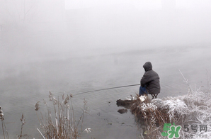 冬天釣魚用什么餌料？冬天釣魚用什么小藥？