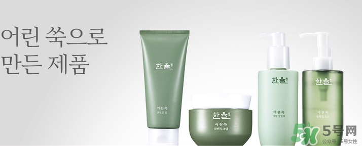 韓律艾草洗面奶多少錢？韓律艾草洗面奶專柜價格