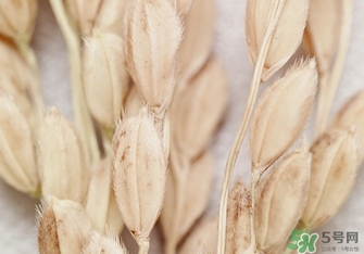 韓律適合什么膚質(zhì)？韓律適合敏感肌膚嗎？