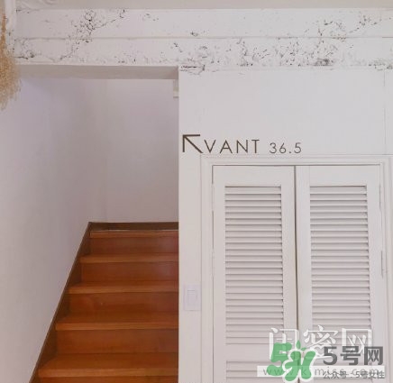 vant氣墊粉底霜怎么樣？vant36.5粉霜粉膏好用嗎？