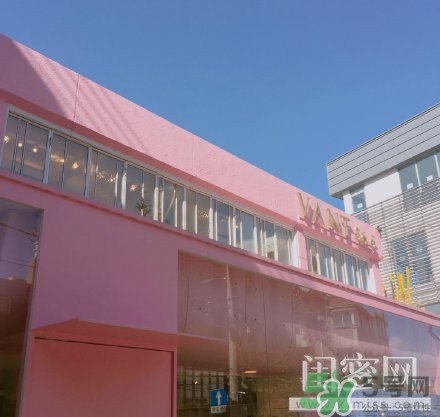 vant氣墊粉底霜怎么樣？vant36.5粉霜粉膏好用嗎？