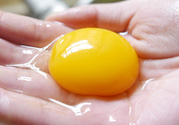雞蛋黃散了還能吃嗎？雞蛋黃散了是不是壞了？
