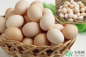土雞蛋怎么保存時(shí)間長(zhǎng)？土雞蛋怎么保鮮？