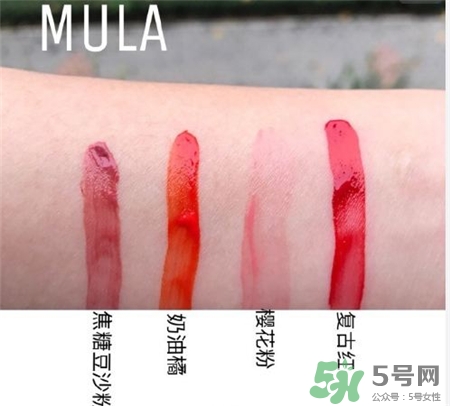 mula木旯植物唇釉試色 木旯植物唇釉圖片 mula木旯植物唇釉試色 木旯植物唇釉圖片