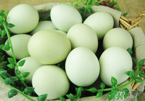 綠殼雞蛋多少錢一個？綠殼雞蛋多少錢一斤？