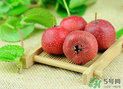 新鮮山楂什么時候上市？新鮮山楂什么時候成熟？