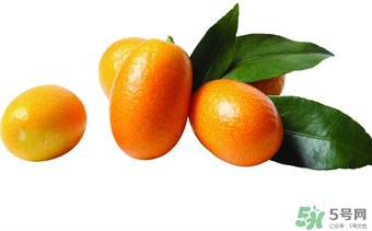 金桔可以帶皮吃嗎？金桔皮能吃嗎？