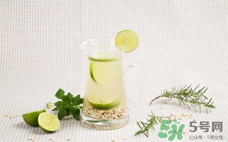 檸檬水可以用熱水泡嗎？檸檬水用涼水泡還是熱水泡？