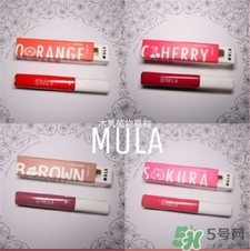 mula木旯植物唇釉試色 木旯植物唇釉圖片 mula木旯植物唇釉試色 木旯植物唇釉圖片