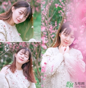 伊諾姿櫻花氣墊多少錢？伊諾姿櫻花氣墊價格