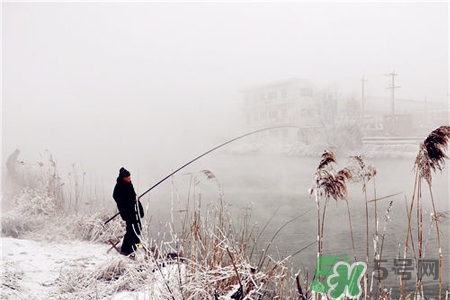冬天能釣魚嗎？冬天適合釣魚嗎？