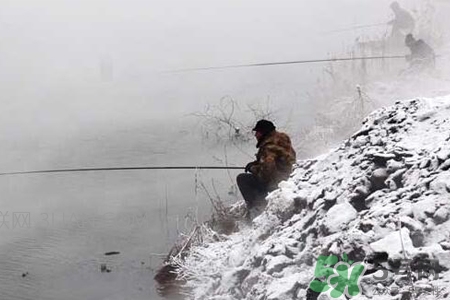 冬天能釣魚嗎？冬天適合釣魚嗎？