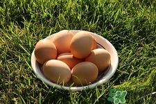 產(chǎn)婦可以吃毛蛋嗎?產(chǎn)婦吃毛蛋有危害嗎 產(chǎn)婦可以吃毛蛋嗎?產(chǎn)婦吃毛蛋有危害嗎