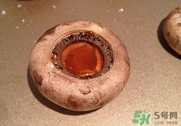 口菇變黑還能吃嗎？口菇的營(yíng)養(yǎng)價(jià)值