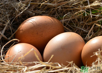 雞蛋可以帶上動車嗎？雞蛋可以帶上高鐵嗎？