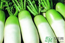 冬天御寒吃蘿卜有用嗎？御寒養(yǎng)生不妨多吃蘿卜