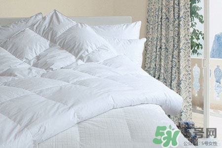 冬天蓋什么被子最暖和？冬天蓋什么被子最好？