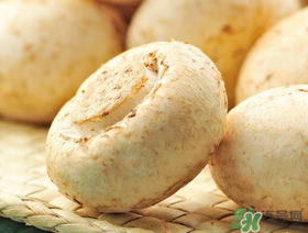 草菇怎么保存？新鮮草菇怎么保存？