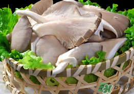 蘑菇可以放冰箱嗎？蘑菇放冰箱長毛了能吃嘛？