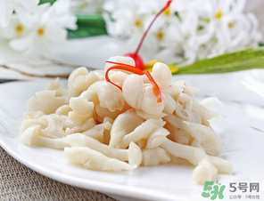 白玉菇孕婦能吃嗎？孕婦可以吃白玉菇嗎？