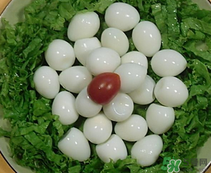 鵪鶉蛋一天吃幾個(gè)合適？鵪鶉蛋一天最多吃幾個(gè)？
