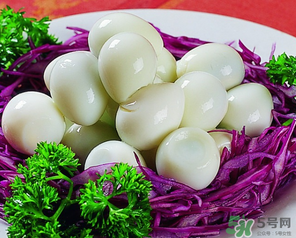 鵪鶉蛋一天吃幾個(gè)合適？鵪鶉蛋一天最多吃幾個(gè)？