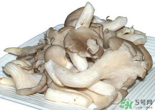 平菇怎么保存？平菇能放幾天？