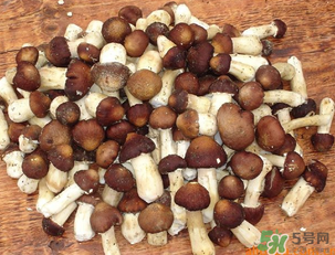 草菇可以放冰箱嗎？草菇放冰箱還能吃嗎？