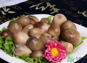 草菇可以放冰箱嗎？草菇放冰箱還能吃嗎？