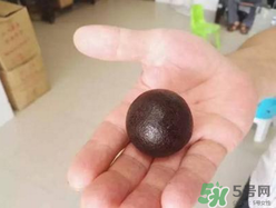 羊?qū)毷鞘裁?？羊?qū)殲槭裁催@么貴？